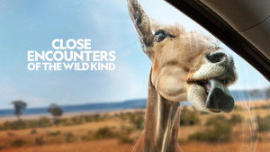 Close Encounters of the Wild Kind