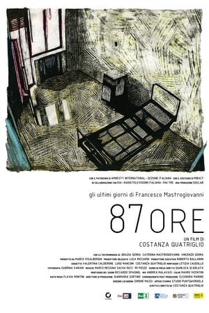 Poster 87 ore 2015
