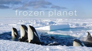 poster Frozen Planet