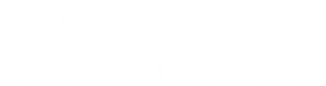 Torso