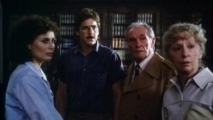 Blind Justice Online En Netflix