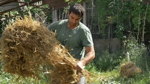 Le potager de mon grand-père