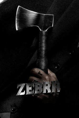 Zebra 14