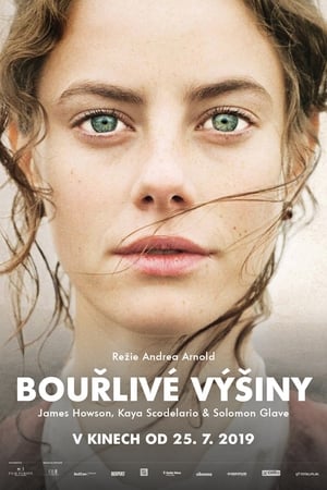 Bouřlivé výšiny (2011)