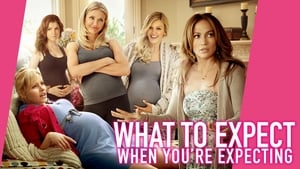 What to Expect When You’re Expecting(2012)