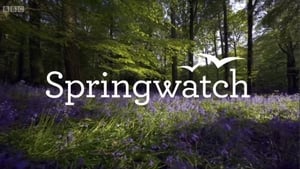 Springwatch