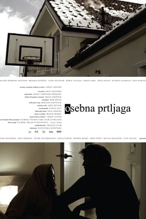 Poster Personal Baggage (2009)