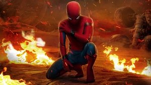 Spider Man: Homecoming