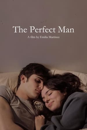 Poster The Perfect Man (2023)
