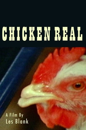 Image Chicken Real