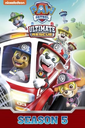 PAW Patrol: Musim ke 5