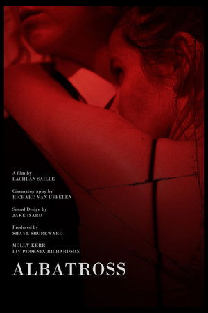 Albatross (2026)