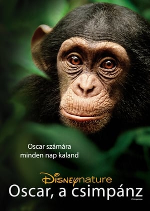 Oscar, a csimpánz (2012)