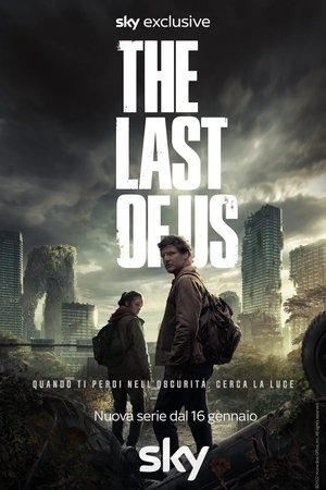 poster The Last of Us - Season 1 Episode 5 : Endure and Survive