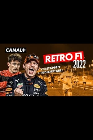 Poster Rétro F1 2022 : Verstappen l'indomptable 2022