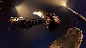 series image