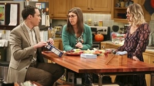 The Big Bang Theory: 9×24