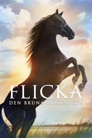 Image Flicka - Den bruna mustangen