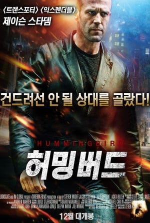 Poster 허밍버드 2013