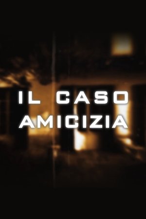 Image Il caso Amicizia