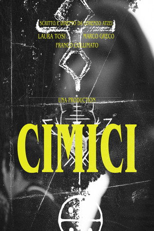 Cimici 4