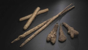 Japanese Yams