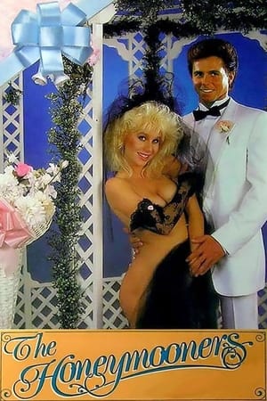 Poster Honeymooners (1987)