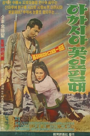 Poster When Acacias Bloom 1962