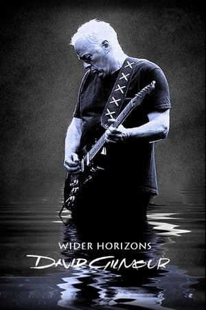 Poster David Gilmour: Wider Horizons 2015