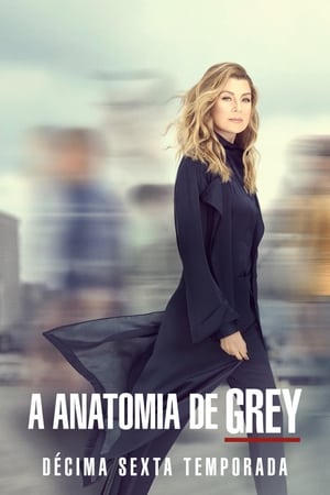 Anatomia de Grey: Temporada 16