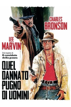 Quel dannato pugno di uomini (1978)