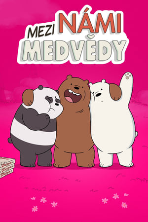 Poster Mezi námi medvědy 4. sezóna Panda má narozeniny 2019