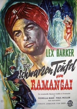 Image Die schwarzen Teufel von Ramangai