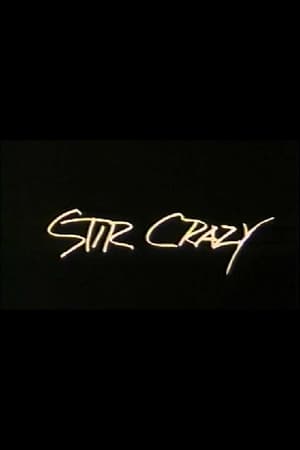 Poster Stir Crazy 1985