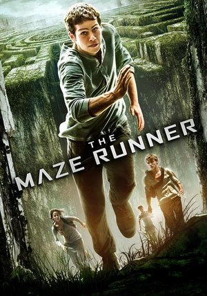poster The Maze Runner
