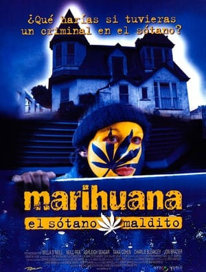 Poster Marihuana: El sótano maldito 1999