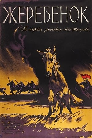 Poster The Colt (1960)