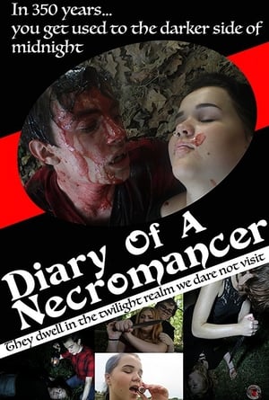 Image Diary of a Necromancer