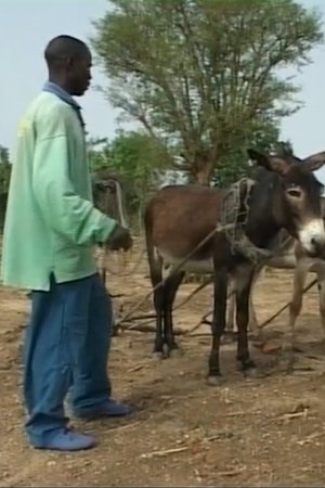 Zavra: A Passer in Kapsiki Land (2004)