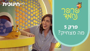 What's so funny | StreamHub