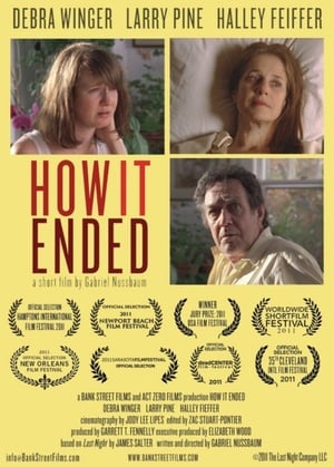 Poster How It Ended 2011