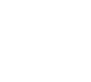 Night of the Felines