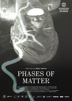 Phases of Matter film complet