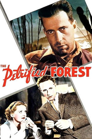 Постер фильма «Окаменевший лес (1936)» — (12 из 20)