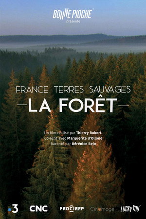 France terres sauvages : La Forêt