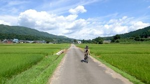 Niigata - The Deep Green of Summer