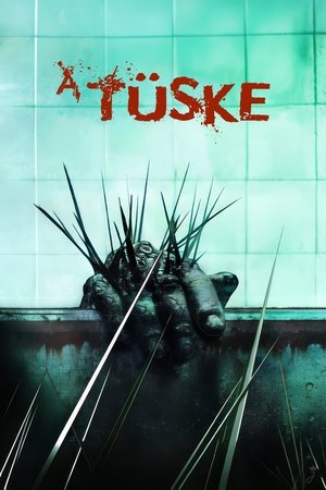 Image A tüske