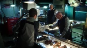 CSI: Crime Scene Investigation: 13×10