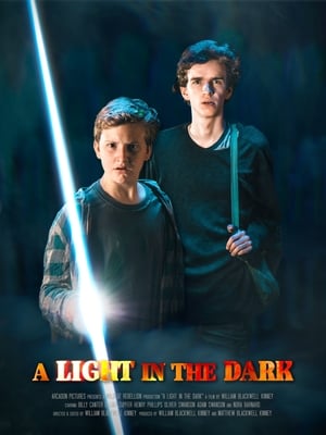 Poster A Light in the Dark (2019)