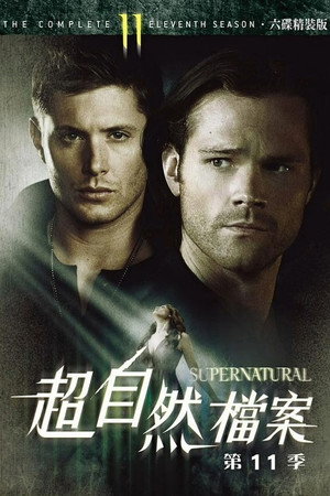 第 11 季